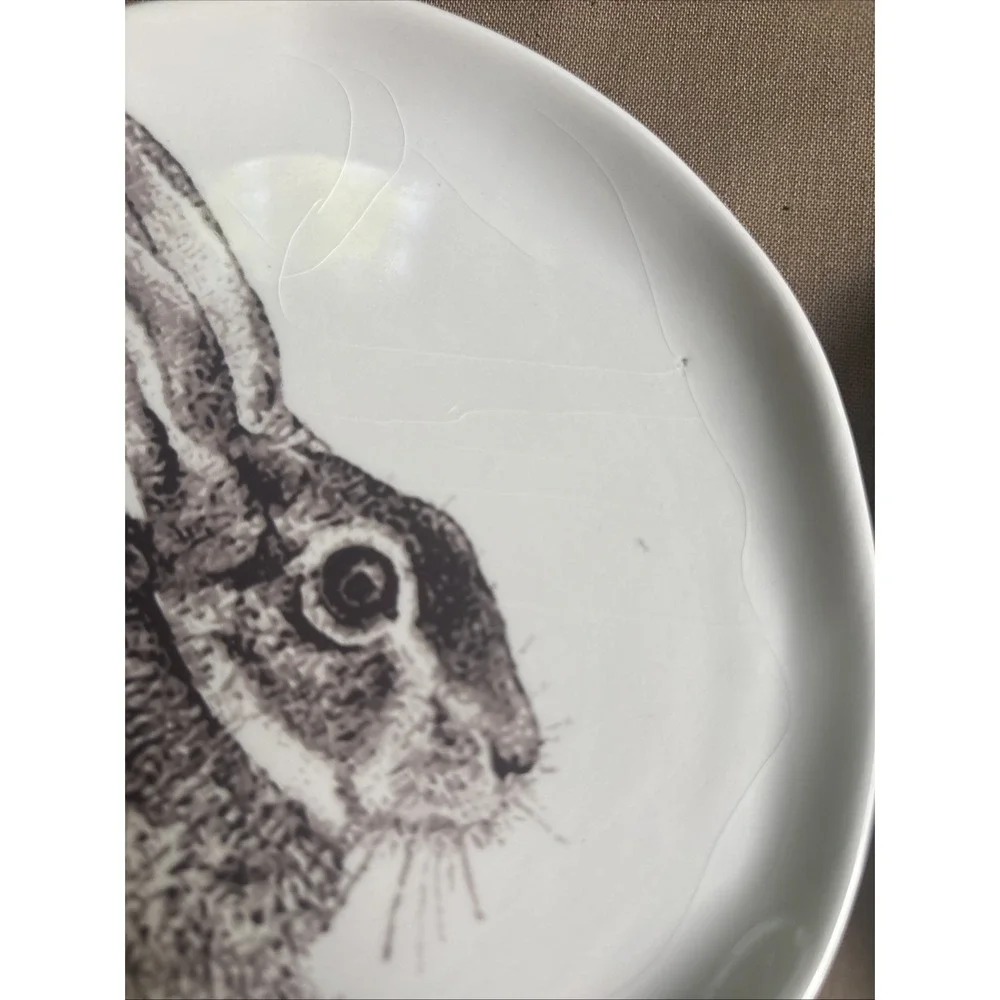 Arlington Designs 4 Ceramic Plates Rabbits Bunny Whimsical Decor ONLY Crazing 6